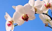 世界帆板赛事智能安全监控：技术保障赛事进行更可靠，帆板比赛地点